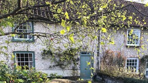 A stone building with multiple windows and a door, surrounded by greenery and gravel. - Fantastic character cottage, brimming with charm and set in mature gardens. (Methwold, near Thetford)