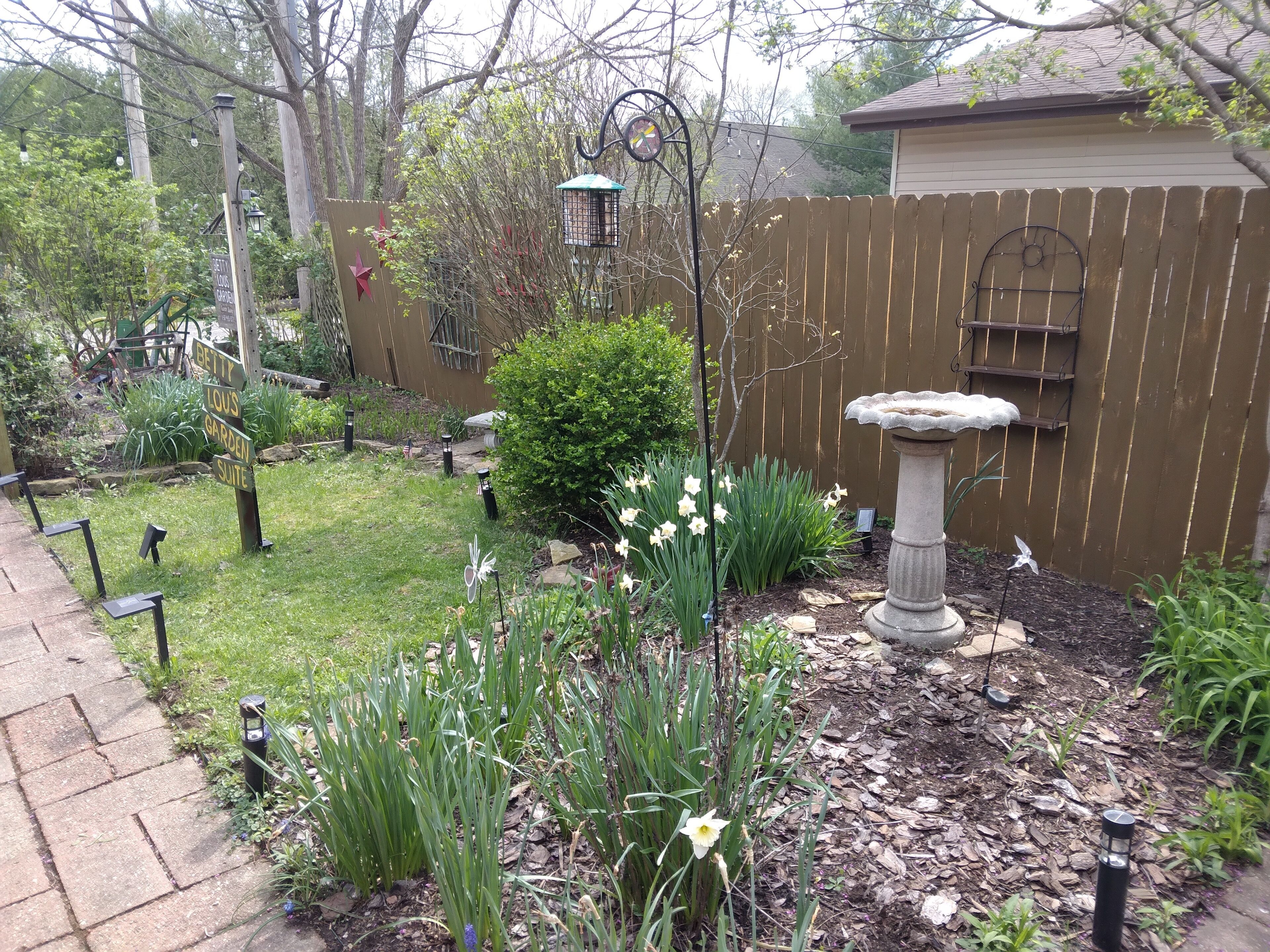 Parco della struttura