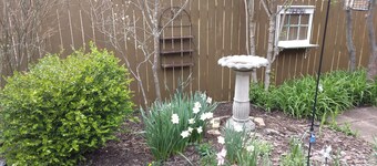 Betty Lou's Garden Guest Suite