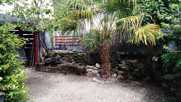 Un espace jardin agrémenté d’un palmier, d’un chemin de gravier, d’un mur de pierres et de diverses plantes.