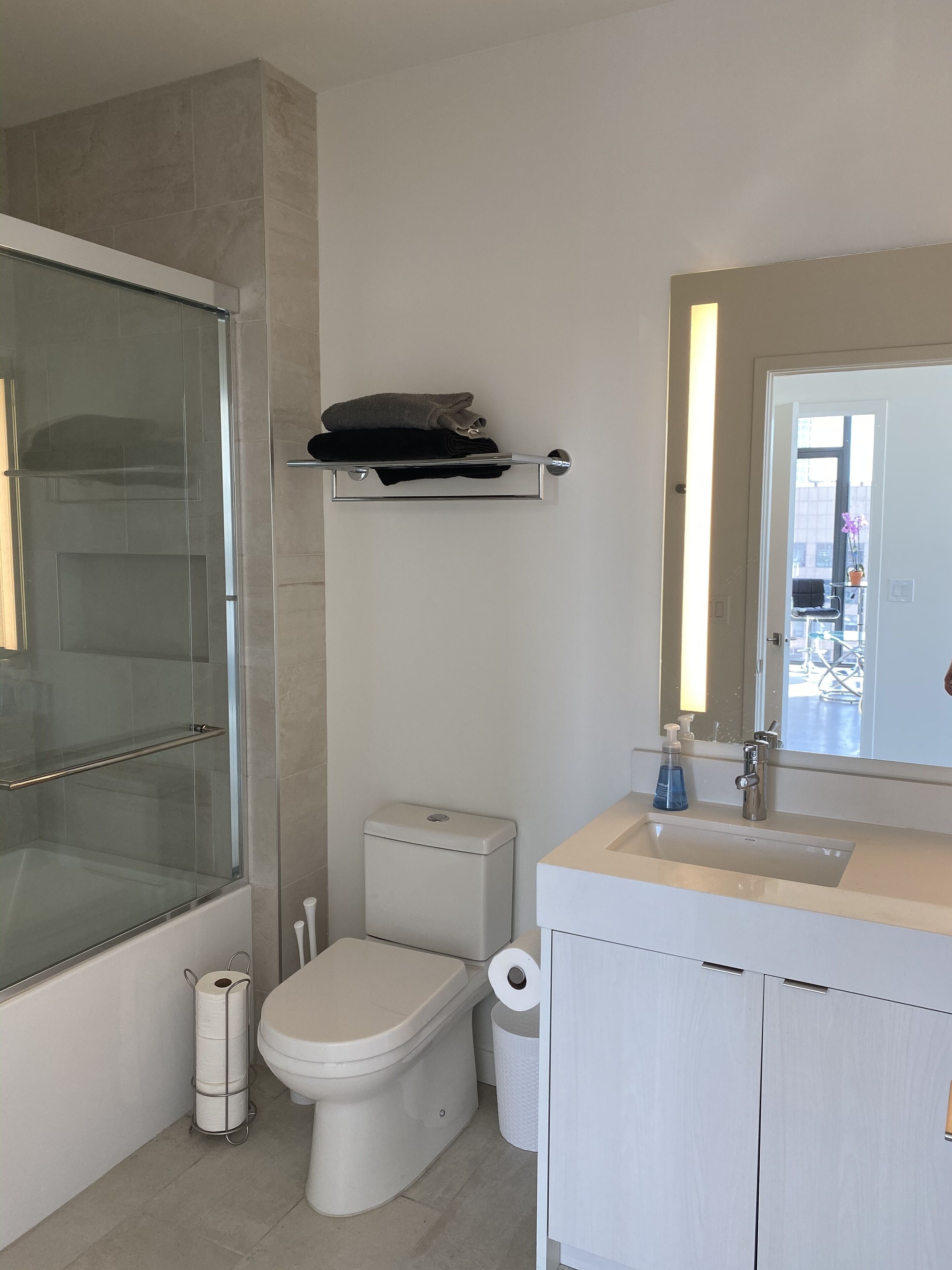 Downtown luxury high rises