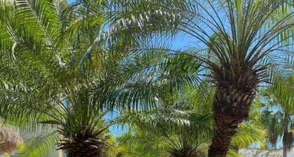 Orquideas 36, Serenity by the Beach