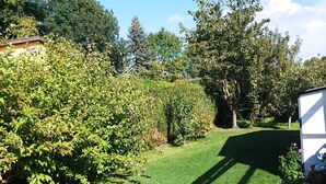 A well-maintained garden with a variety of shrubs and trees, a lawn, and a small shed. - Ferienhaus in See Nähe! Ruhige Lage. Wlan, Bettwäsche und Handtücher Inkl (Klein Sien)