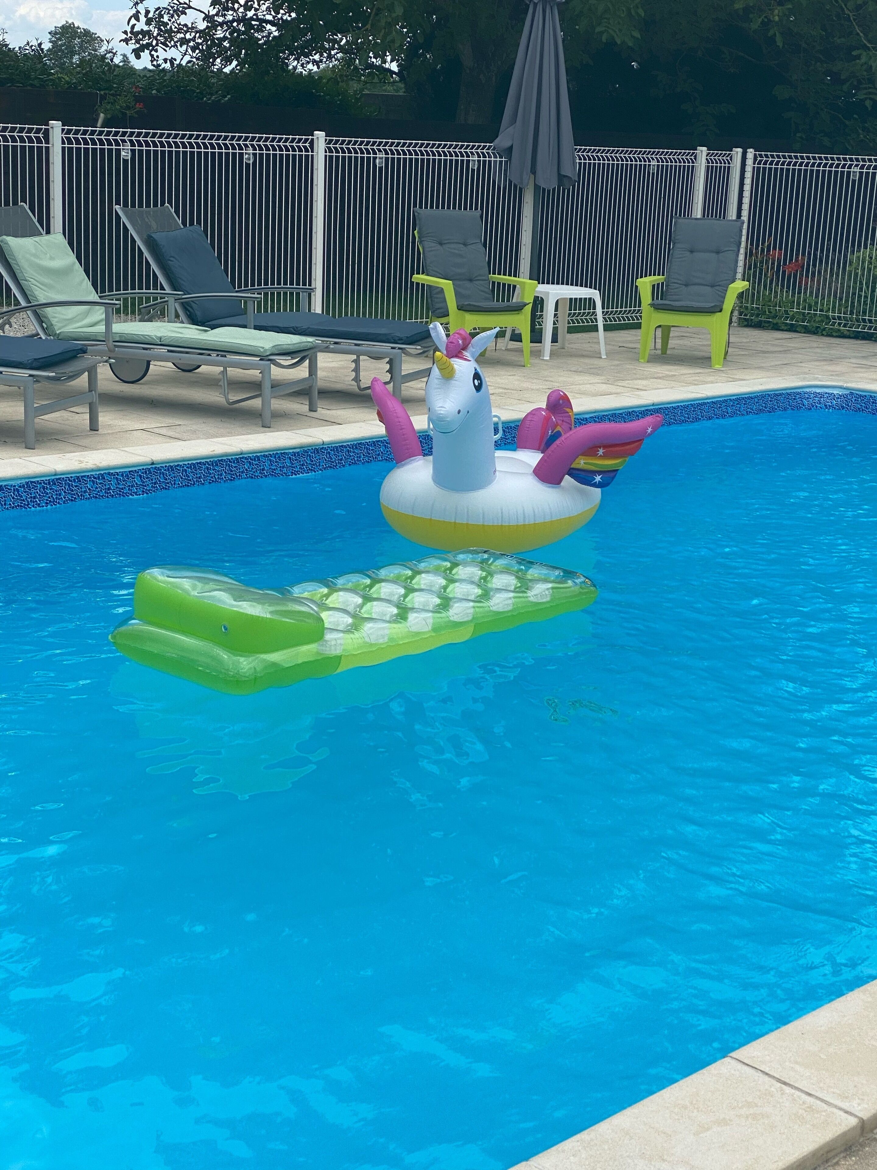 A swimming pool with inflatable unicorn and green raft toys.