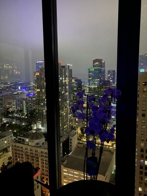 Interior - downtown Los Angeles center high rises (East Los Angeles)