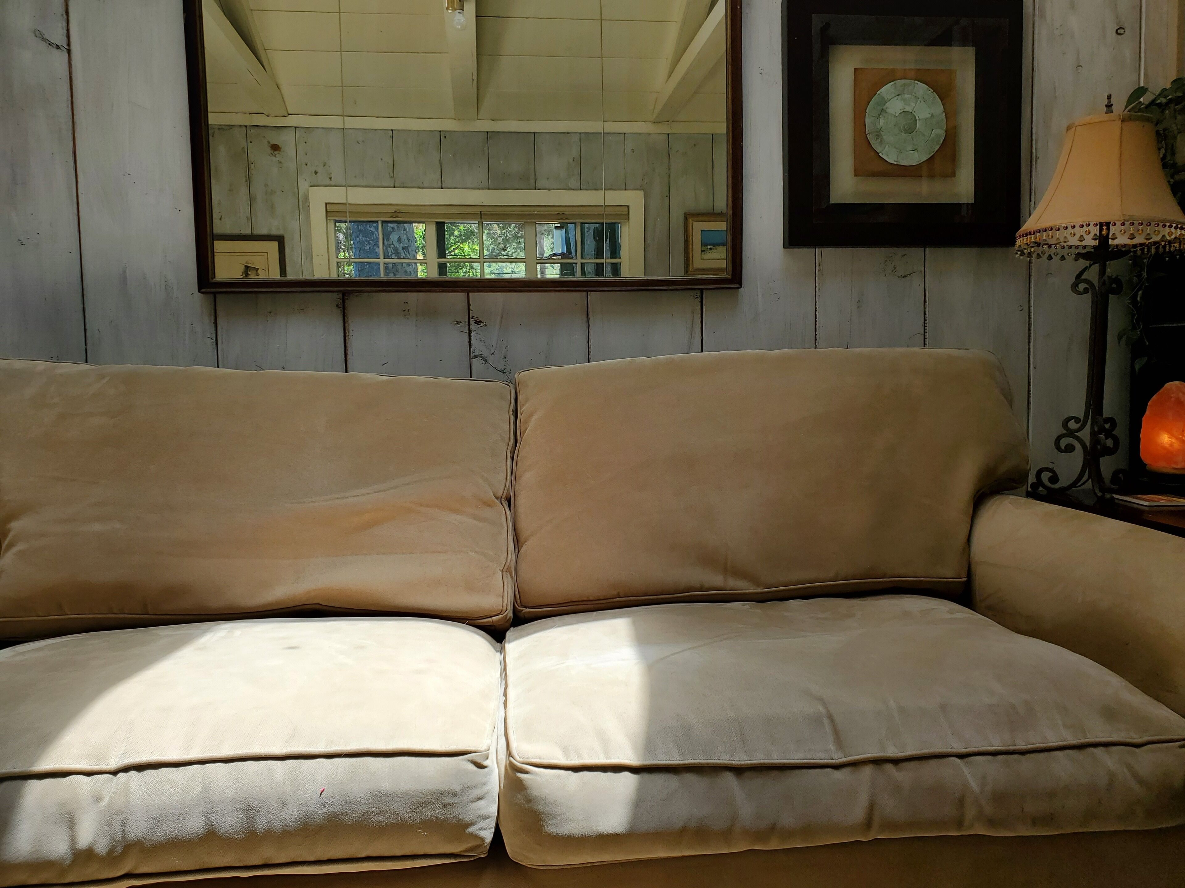 Home available with dog allowed (fenced yard)