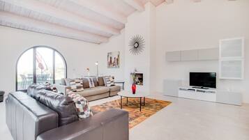 TV, fireplace, DVD player