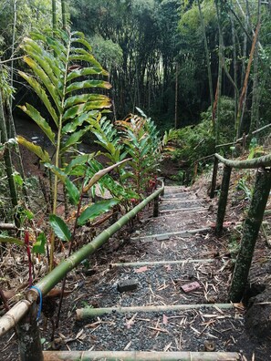 Jardines del alojamiento