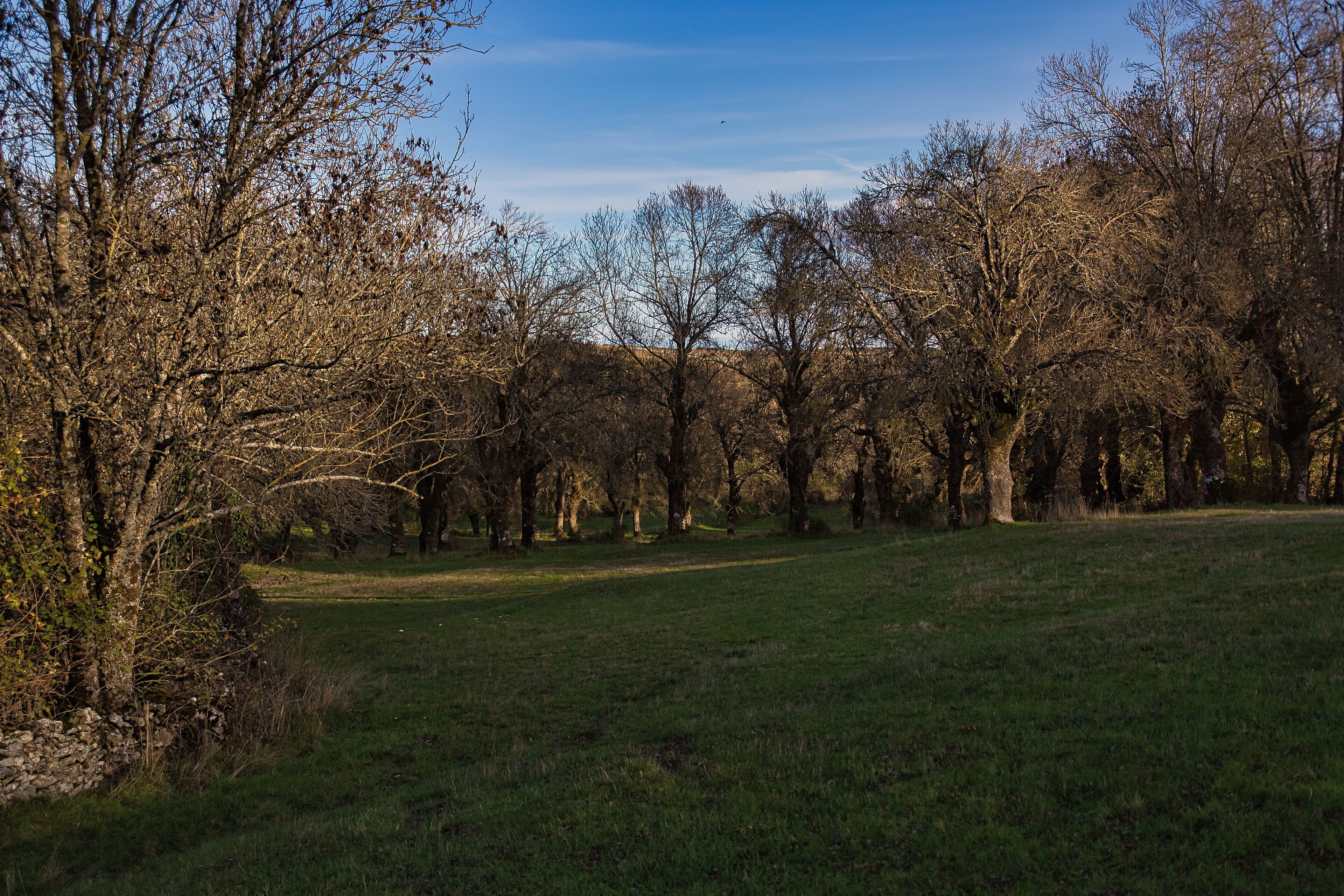 Casal de Palácios, Turismo de Habitação