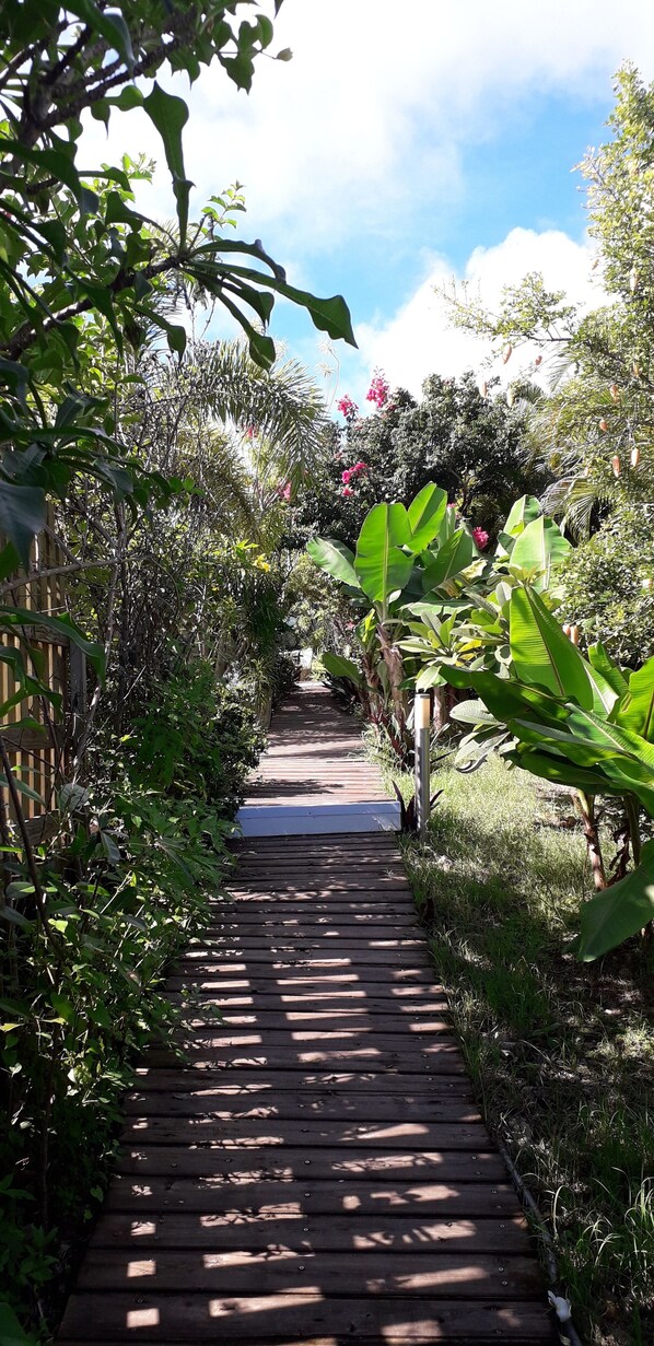 A wooden pathway flanked by lush greenery and trees, leading to a building.