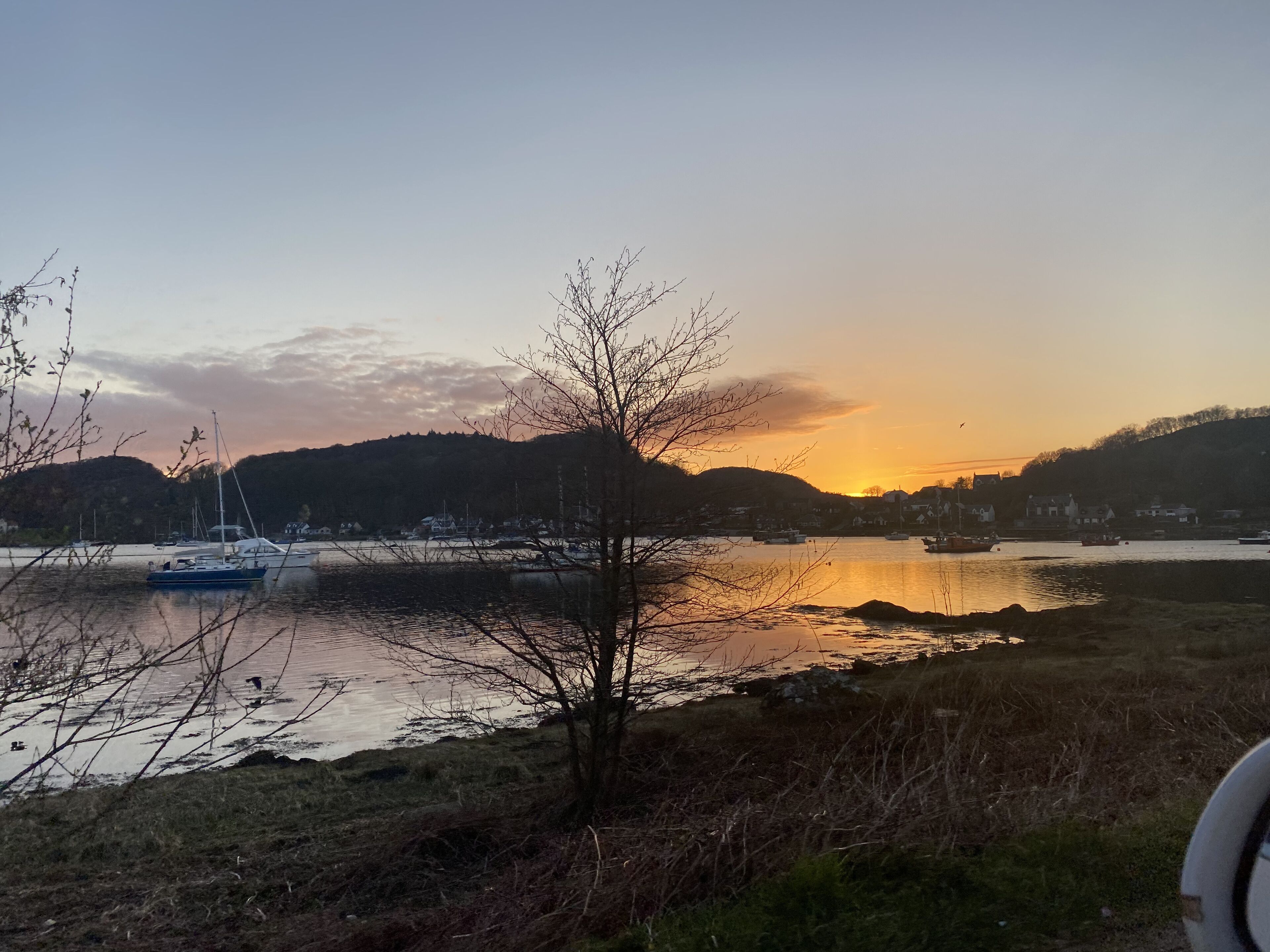 Une vue sur le lac, avec des bateaux, un arbre et une rive éloignée.