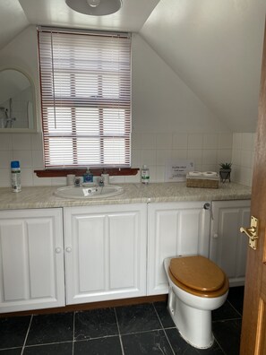 Combined shower/bathtub, hair dryer, towels, toilet paper