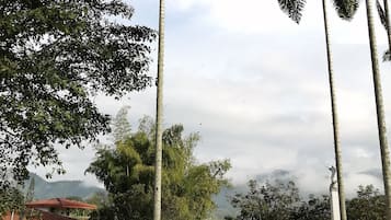 室外游泳池