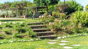 A garden with stone steps, outdoor seating, and umbrellas. - Villa Pesca - Cignella Resort Val D'orcia Toscana (Toscana)