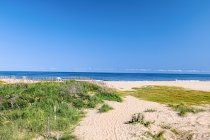 Playa en los alrededores