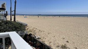 Una spiaggia con palme, una rete da pallavolo e un cielo sereno.