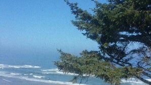 A beach with waves, a tree, and a view of the ocean.