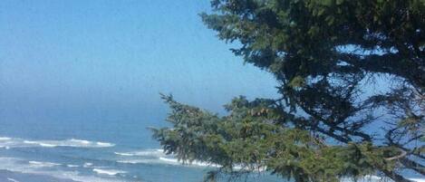 A beach with waves, a tree, and a view of the ocean.
