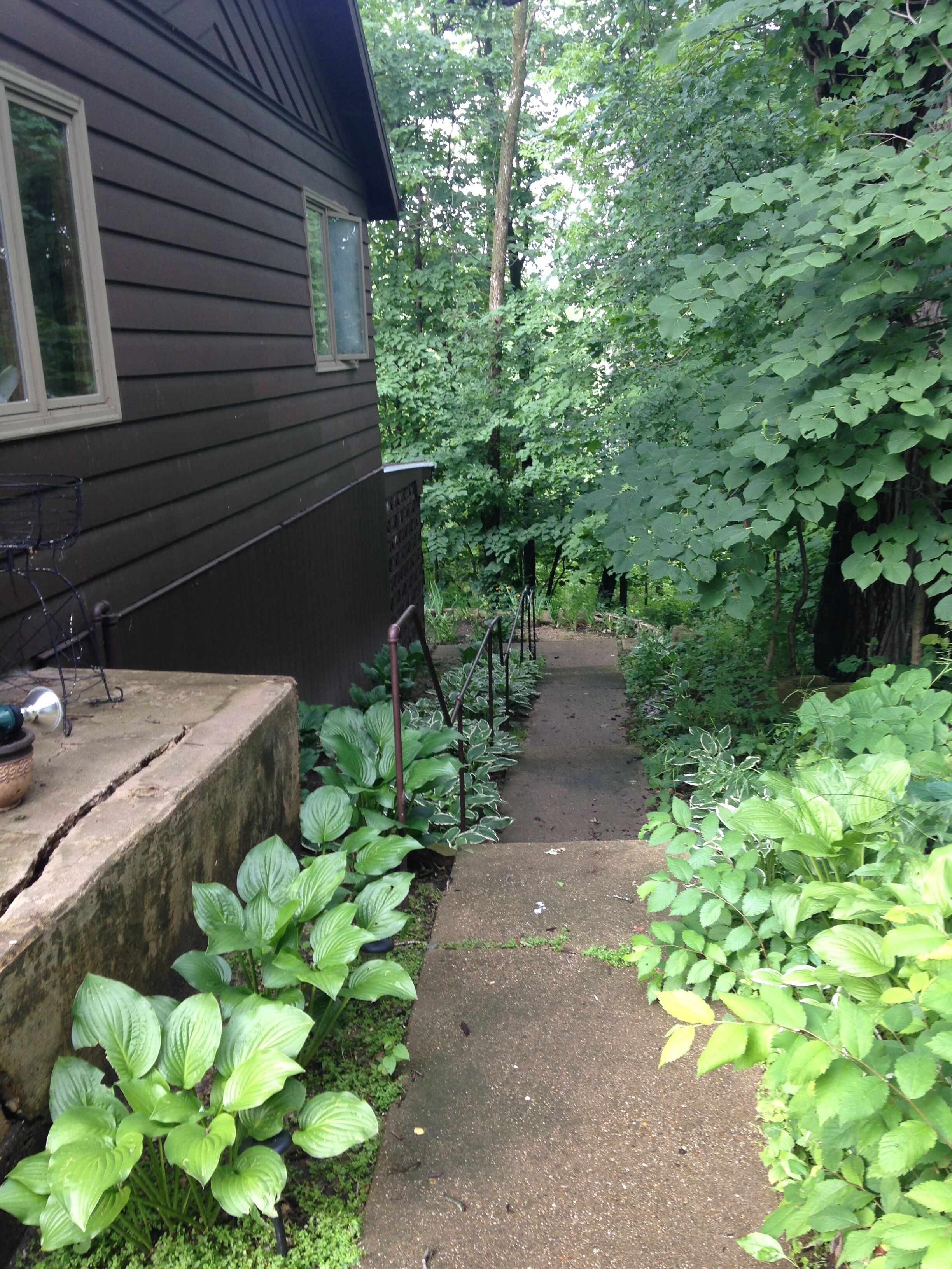 Quiet time in the woods.