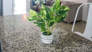 Une plante en pot est posée sur un plan de travail en granit dans un salon moderne, où l’on aperçoit un canapé et un tableau accroché au mur.