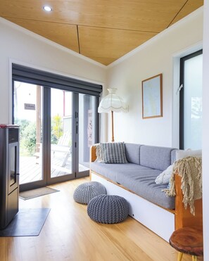 TV, fireplace, DVD player, books