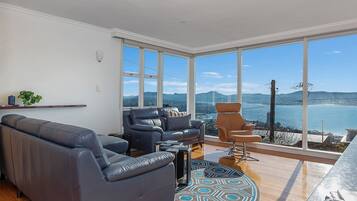 TV, video games, Netflix, books