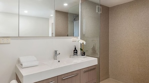 Shower, hair dryer - Birngana stylish spacious with stunning views (Sandy Bay)