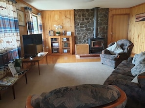 TV, fireplace, books - Lakefront Retreat with Aurora Views (Tods Corner)