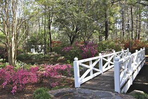 Walk across the bridge surrounded by lush greenery and take in the serene atmosphere of this picturesque garden setting.