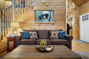 TV, fireplace, table football, video library