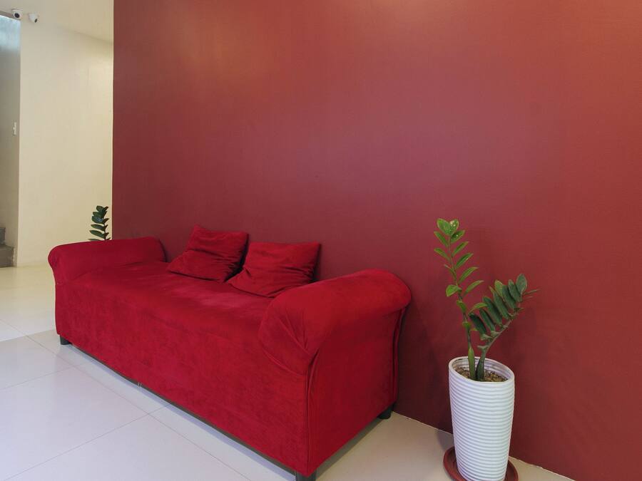 En rød sofa op ad en rød væg, med en potteplante ved siden af.