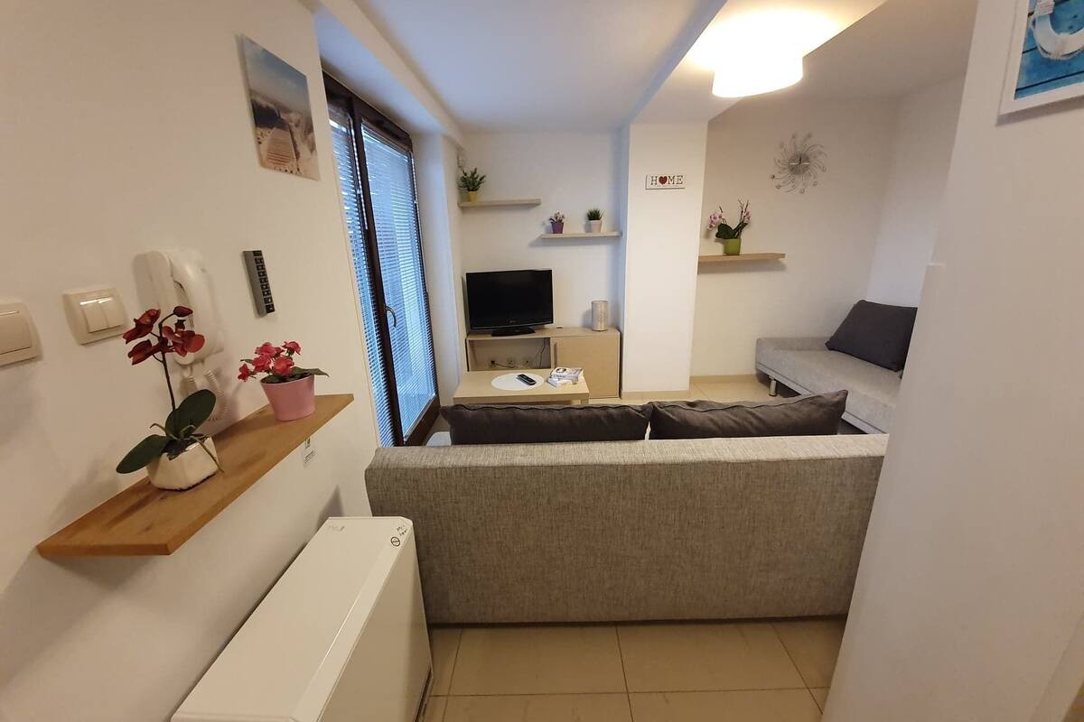 Uma sala compacta com um sofá cinza, uma TV pequena e um radiador. Há plantas em vasos numa estante e um relógio fixado na parede.