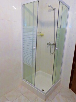 Shower, hair dryer, bidet, towels