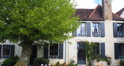 House with garden to discover Burgundy's vineyards