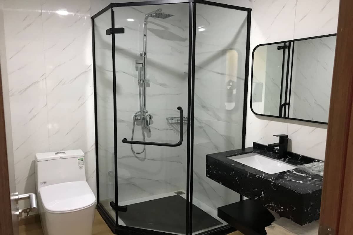 hair dryer, soap, shampoo