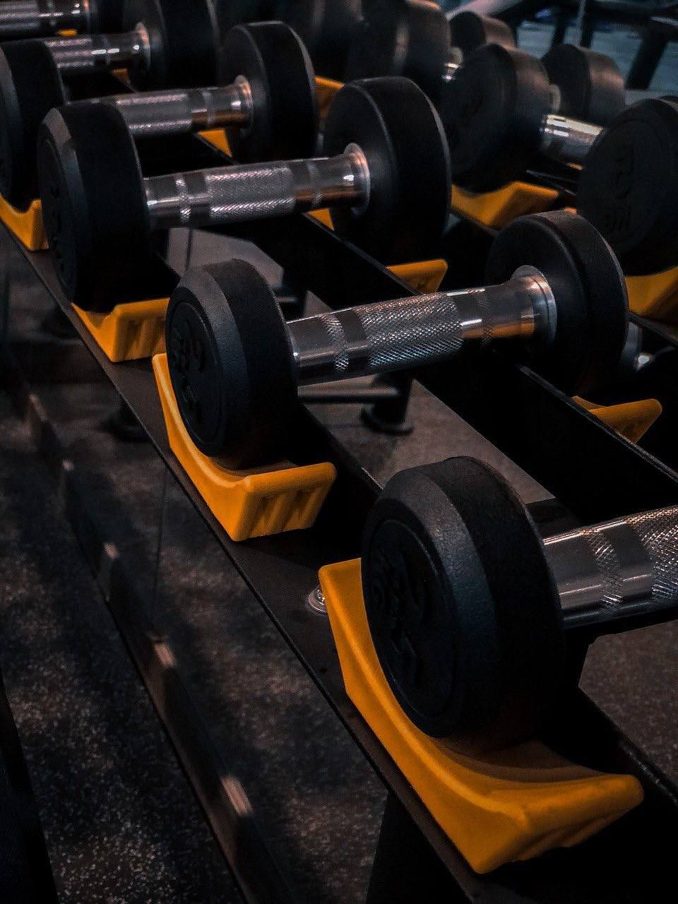 A row of black dumbbells with yellow bases on a rack.