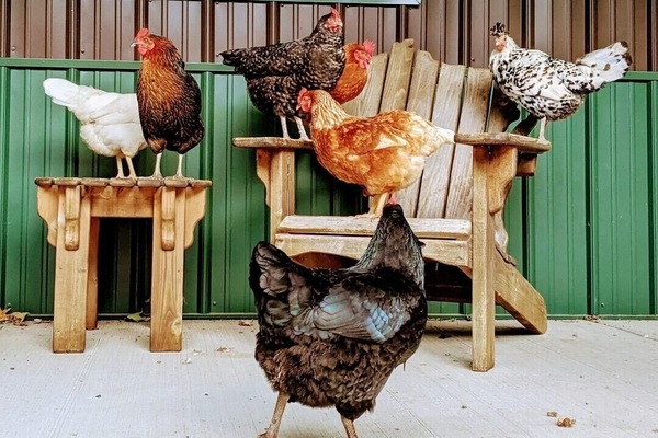 Área da propriedade