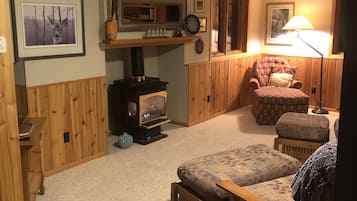 Smart TV, fireplace, books
