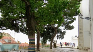 Una strada acciottolata con alberi dipinti in vari colori, un edificio bianco con un lampione nero e un gruppo di persone sullo sfondo.