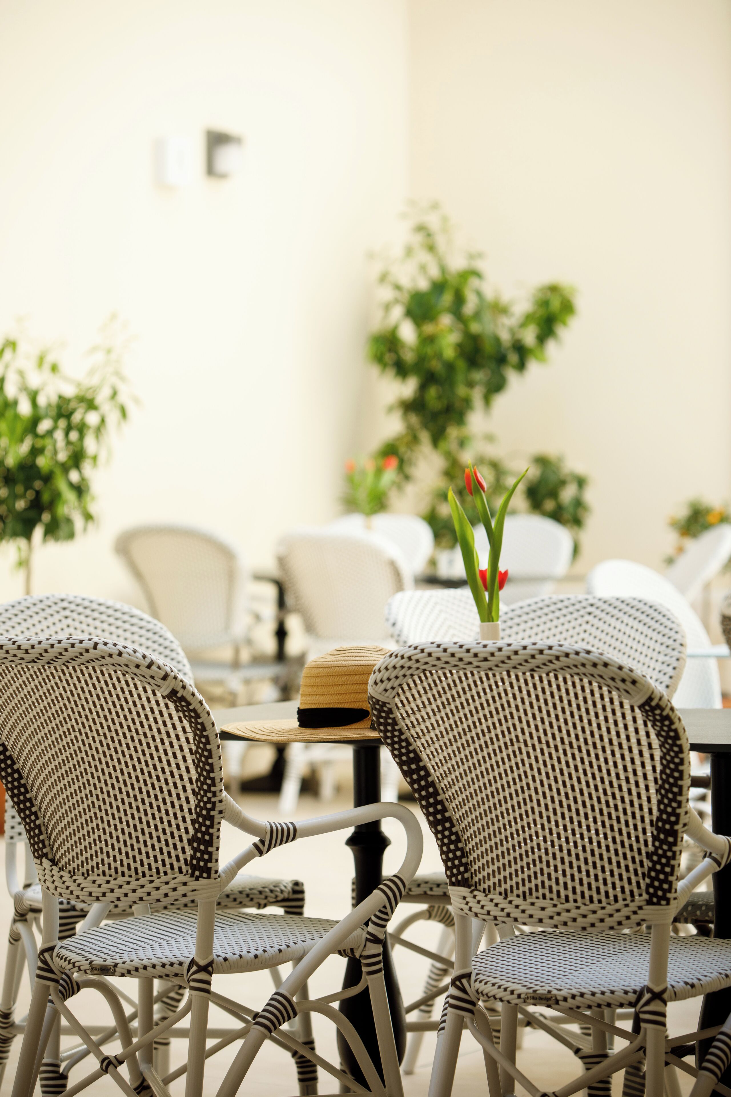 Des chaises en osier ornées d’un motif tressé, une petite table et une plante en pot aux fleurs rouges.