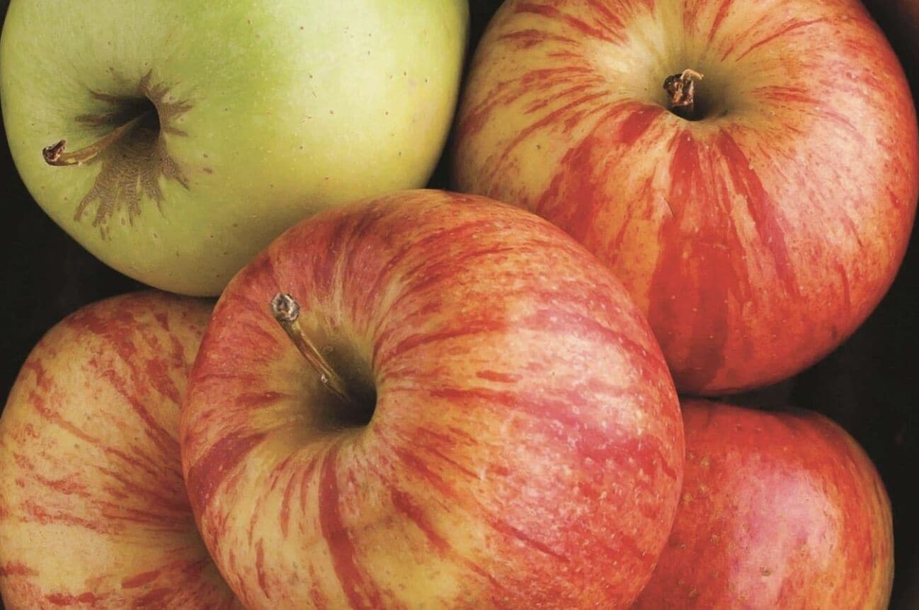 free daily full breakfast