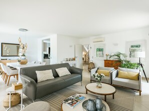 TV, fireplace, books