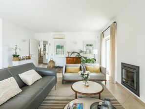 TV, fireplace, books