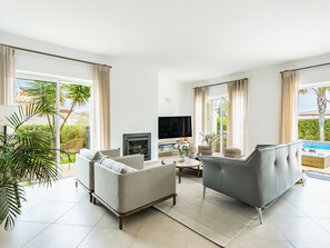 Televisión, chimenea y libros