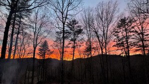Une zone boisée, avec un coucher de soleil en arrière-plan.