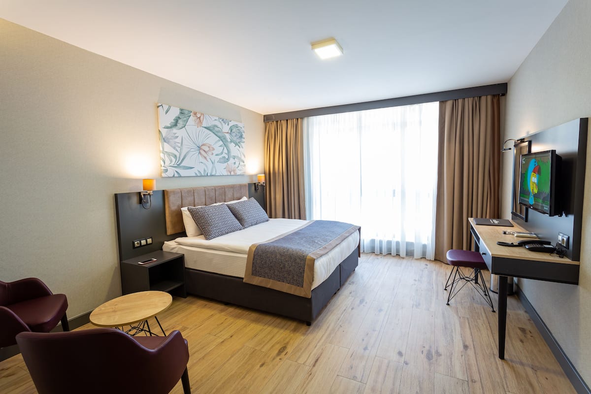 Una habitación de hotel con cama, escritorio, silla y televisor.