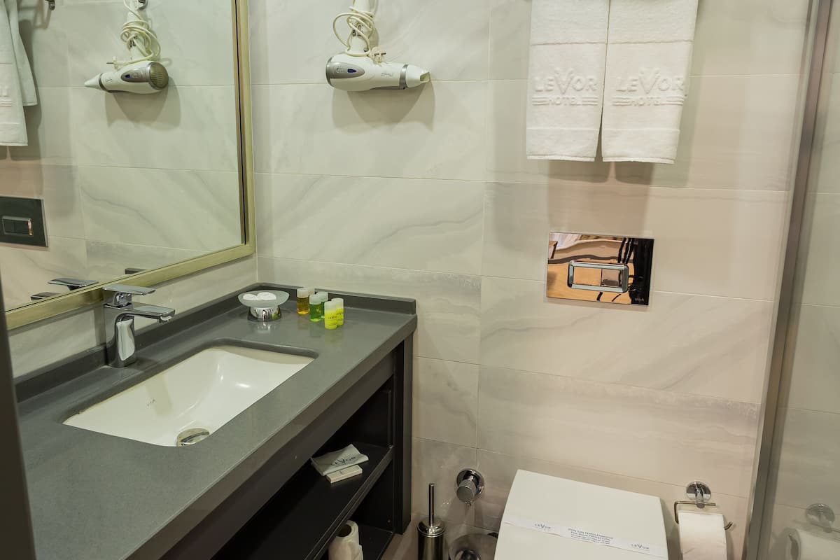 deluxe room | bathroom | shower, rainfall showerhead, free toiletries, hair dryer