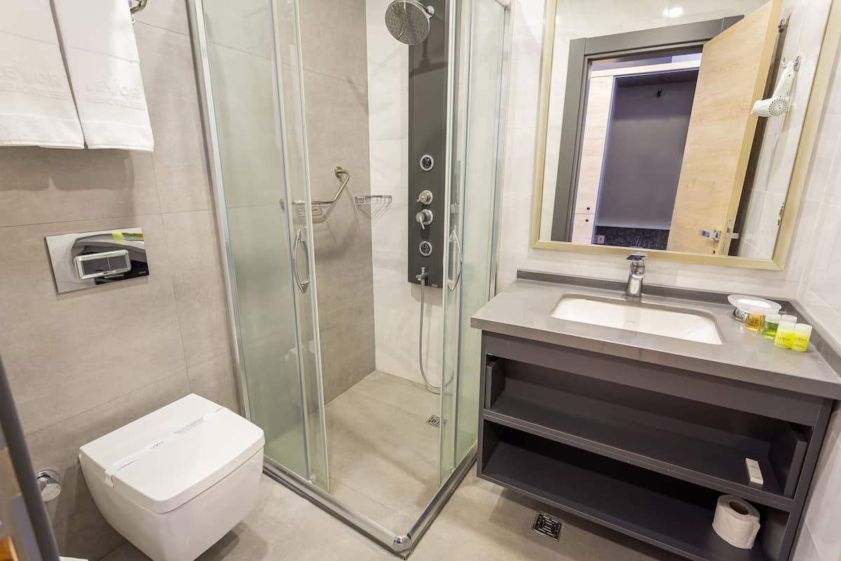 shower, rainfall showerhead, free toiletries, hair dryer