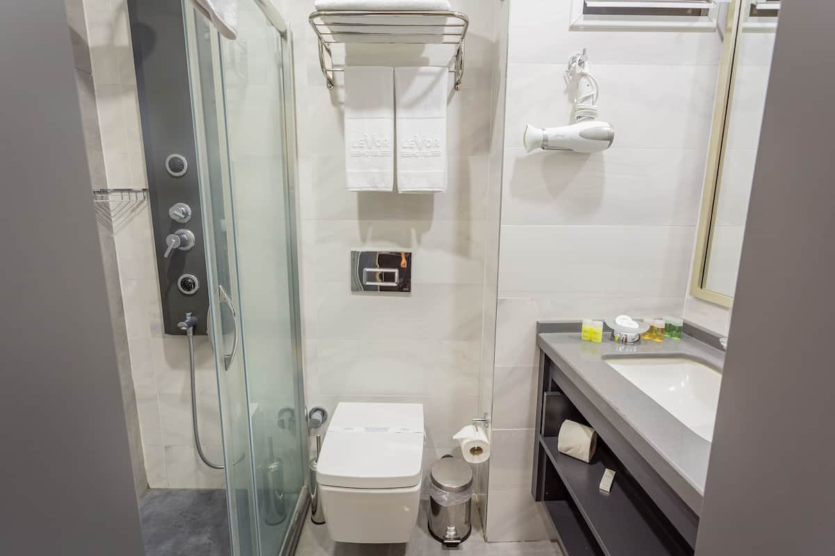 standard double room | bathroom | shower, rainfall showerhead, free toiletries, hair dryer