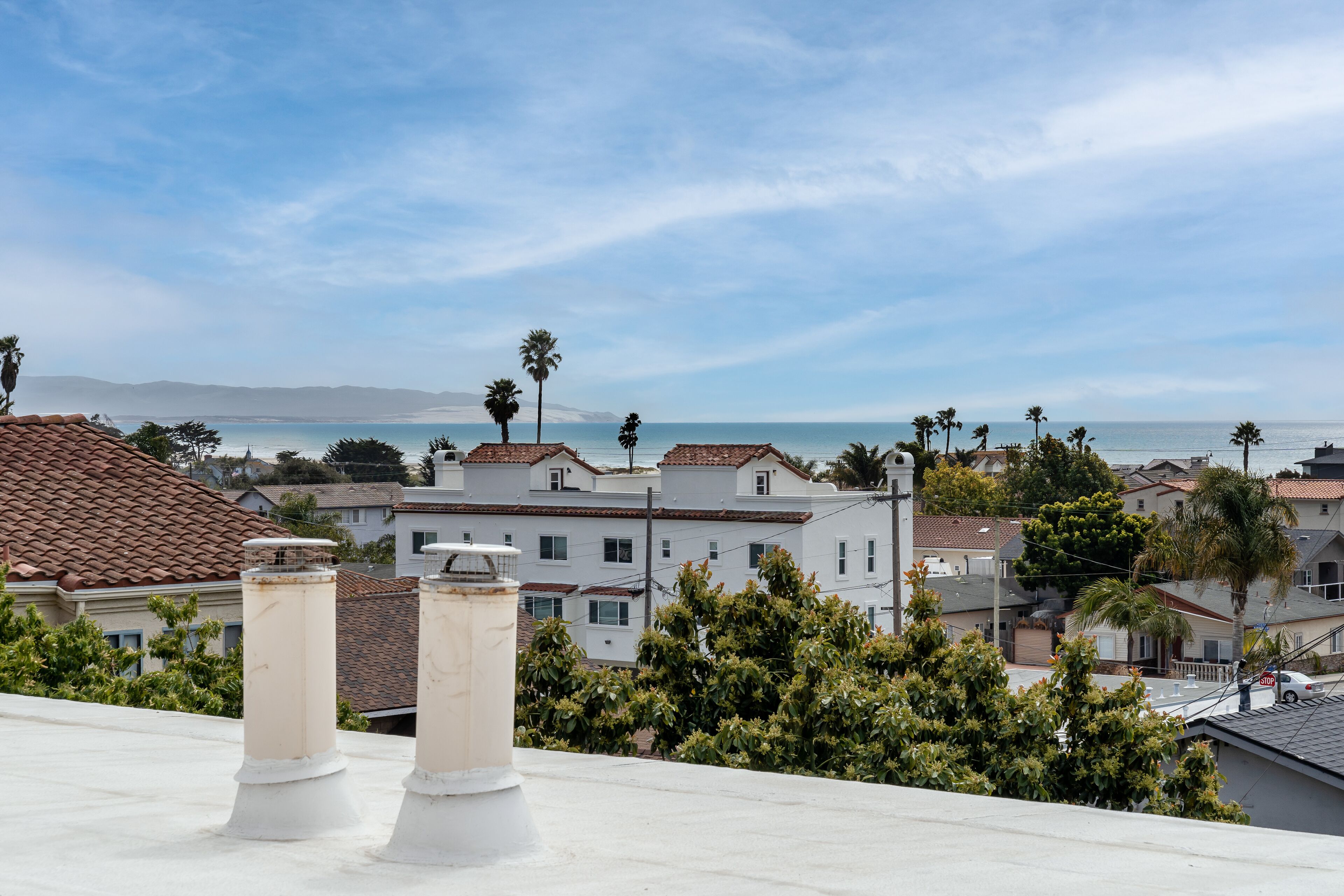 A residential area with houses, palm trees, and a view of the ocean.